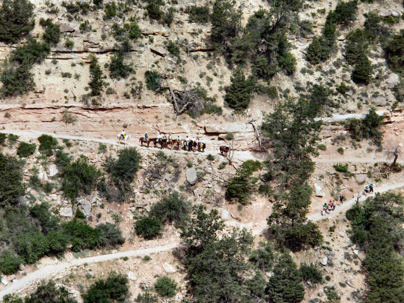 Anybody for a ride or a hike pw.JPG