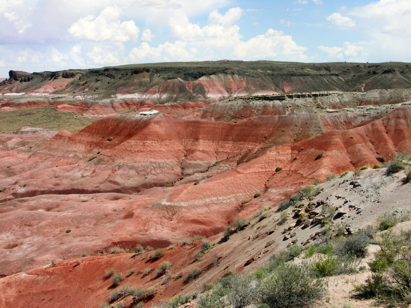 Painted Desert4  pw.JPG