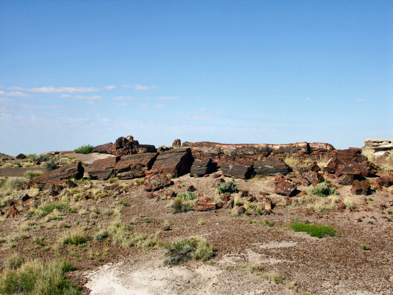 Petrified Forest3  pw.JPG