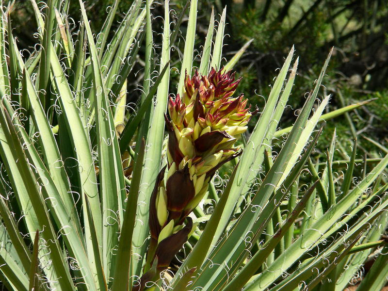 In Mesa Verde  pw.JPG