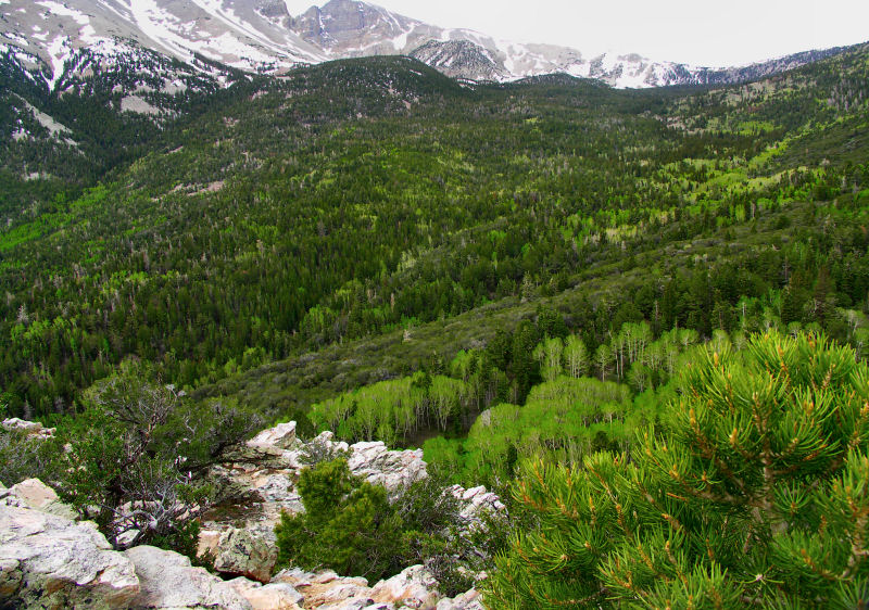 Great Basin National Park pb tw.jpg