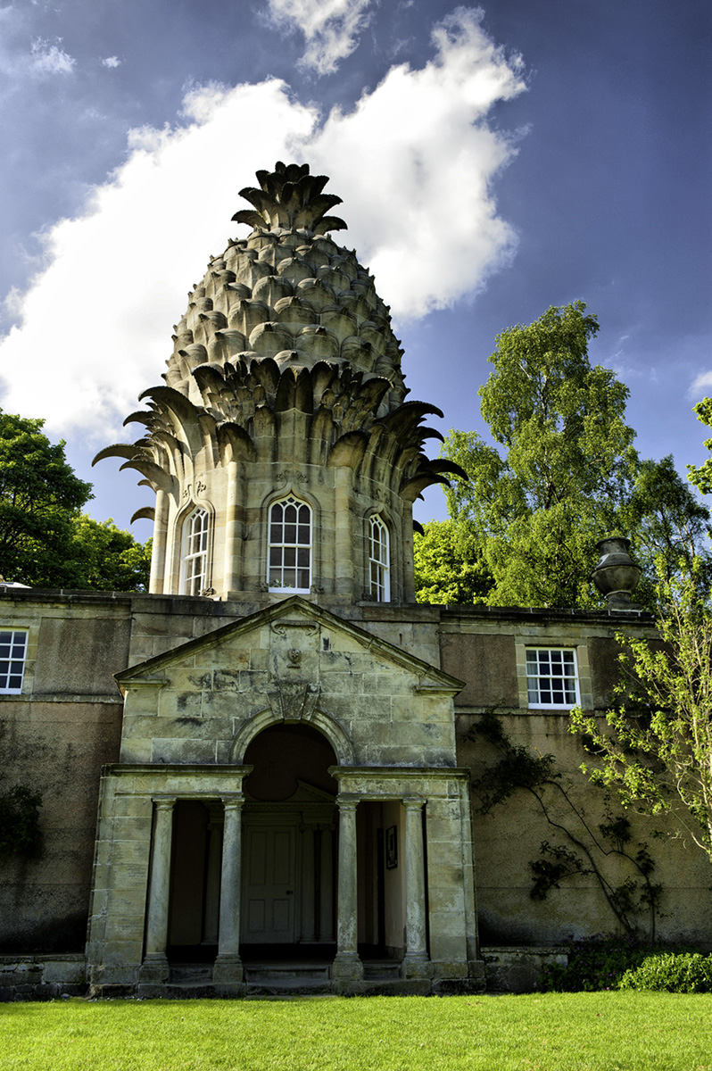 The Pineapple