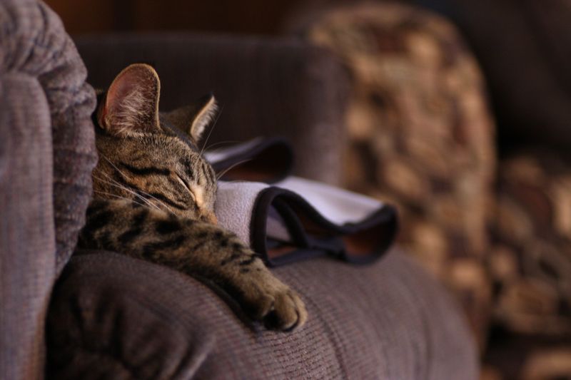 A Long Winter's Nap
