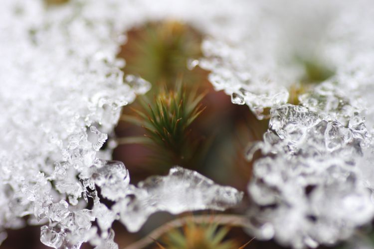 Through the Ice