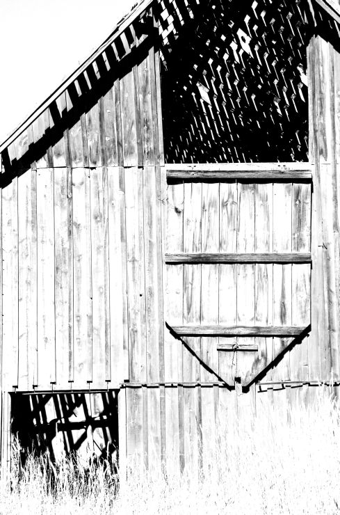 Country Lines