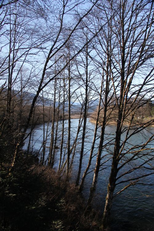 Skagit River