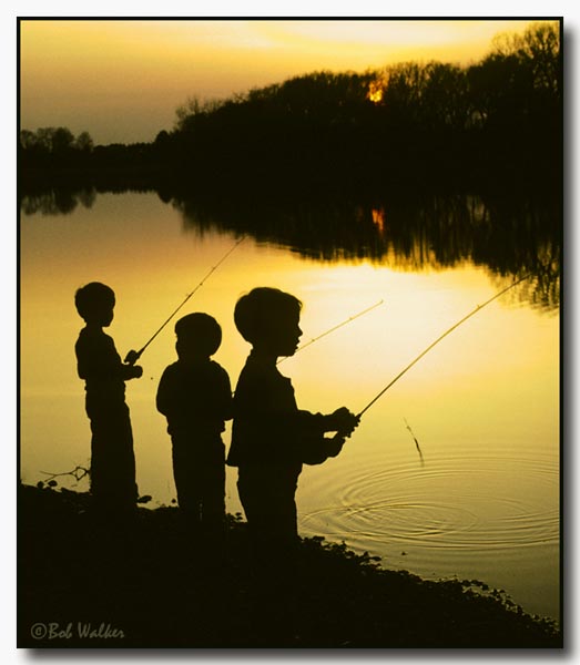 Our Three Sons Fishing On The Erie Canal