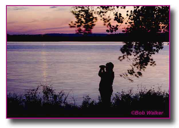 Birder  At Onondaga Lake During A Sunset
