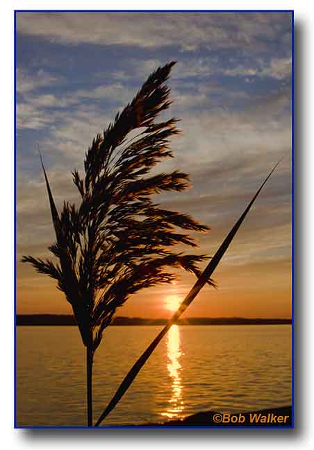 The Beauty Of A Sunset