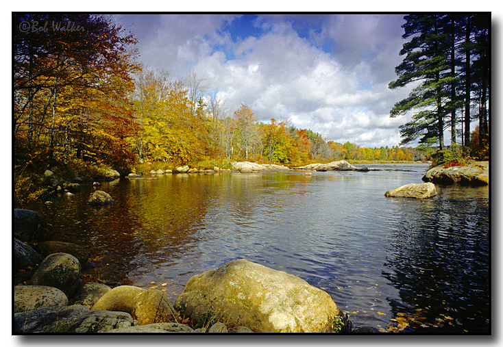 Moose River