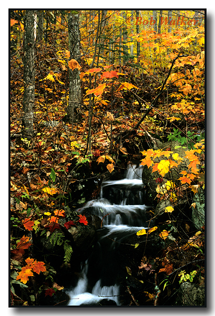 A Little Mountain Falls