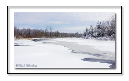 A Frozen Pond In Winters Cloak