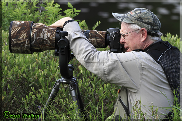 Noted Outdoor And Wildlife Photographer Captures His Images Of The Action