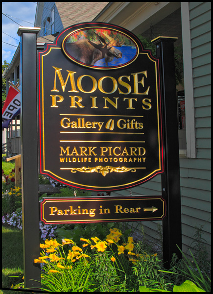 A Place Youll Want To Stop And Take A Look