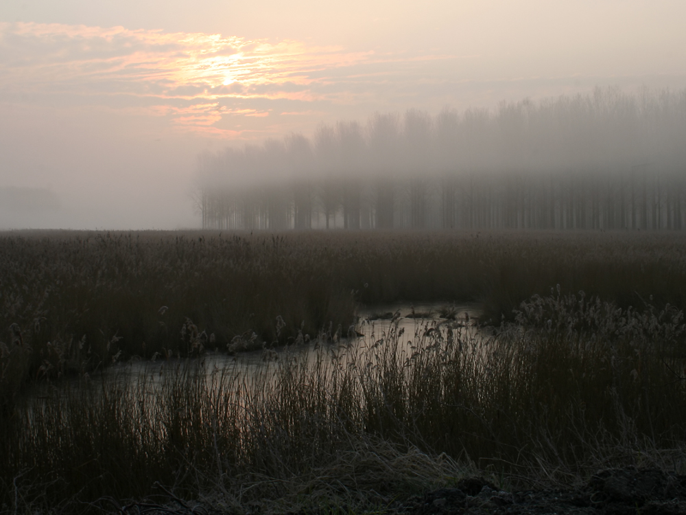 Axel (Axelse kreek)