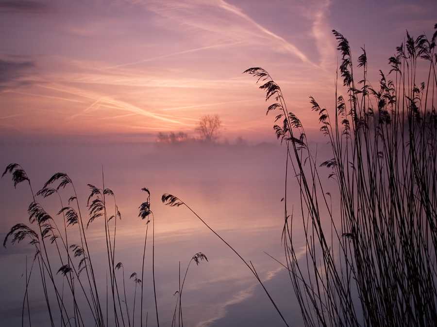 Hulst (Groot eiland)