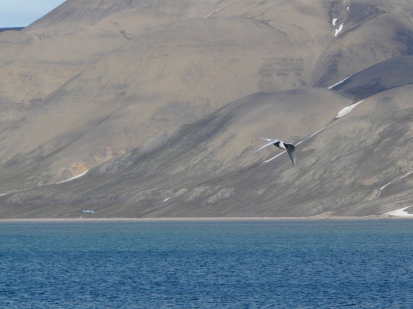 Spitzbergen - Longyearbarden Sailaway