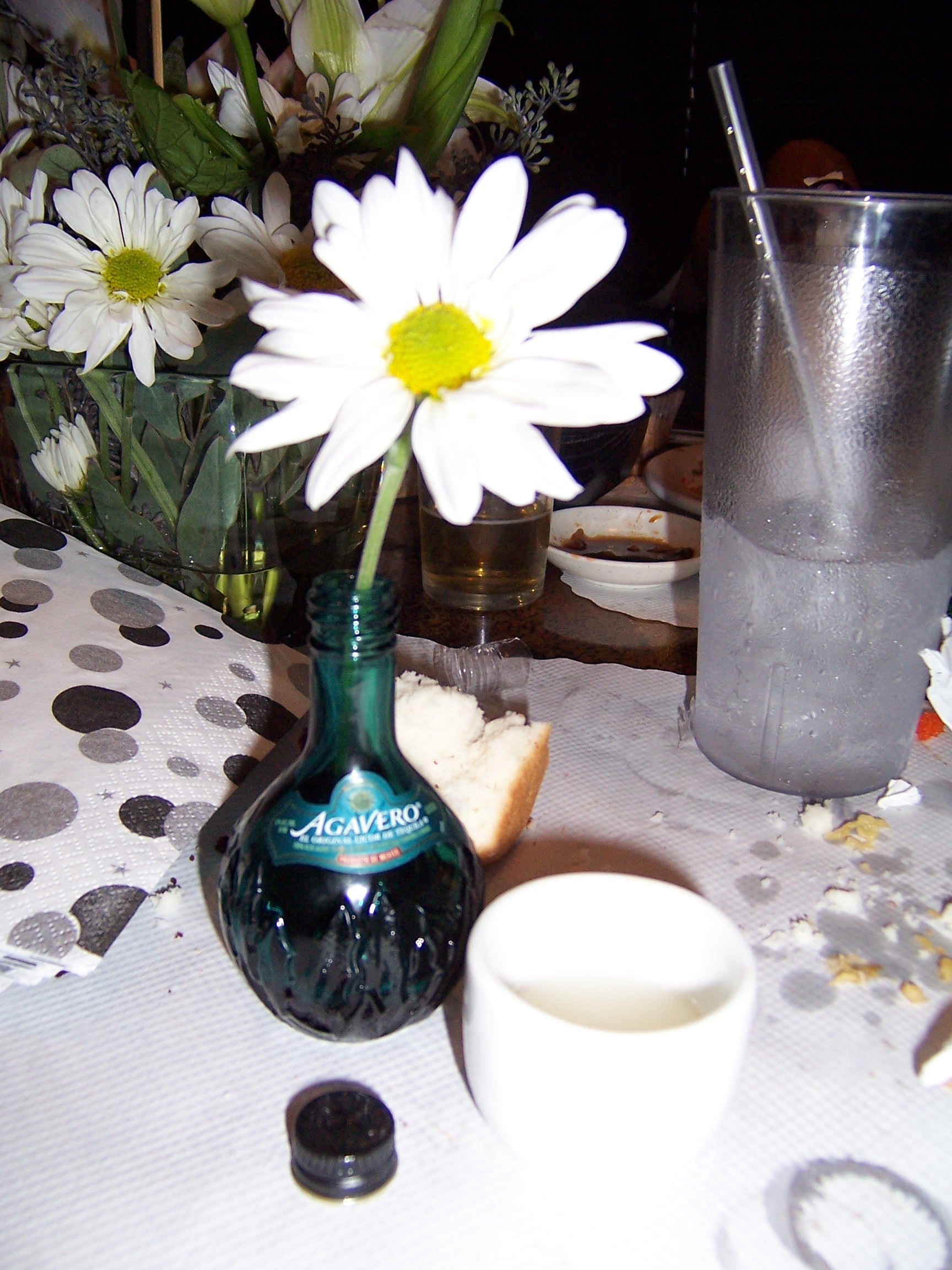 100_7670.JPG