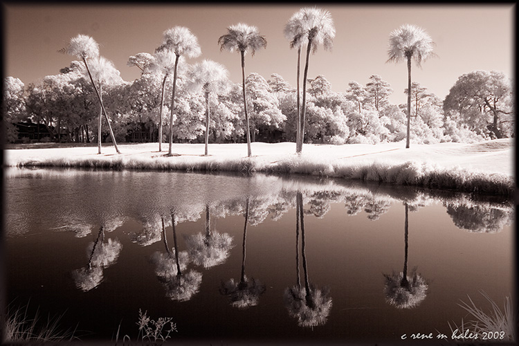 Nine Palms, Kiawah, SC USA