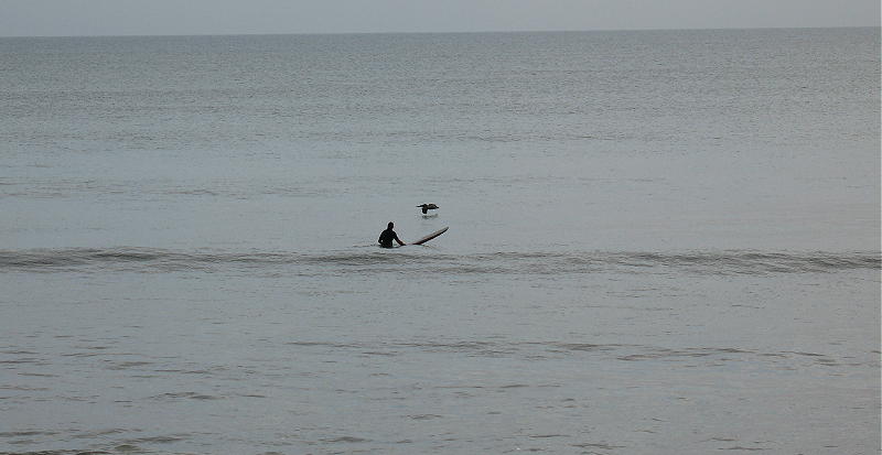 IMG_2467 2.JPG