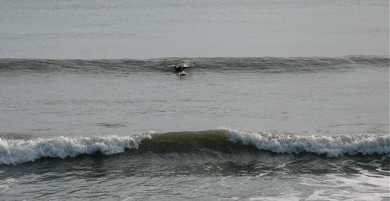 IMG_2468 2.JPG