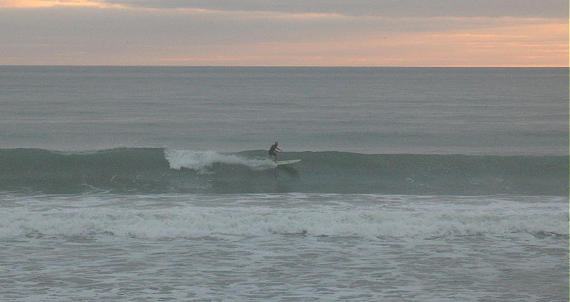 IMG_2605 2.JPG