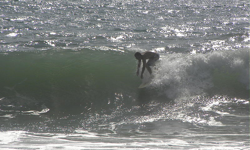 DSCN8595 2.JPG