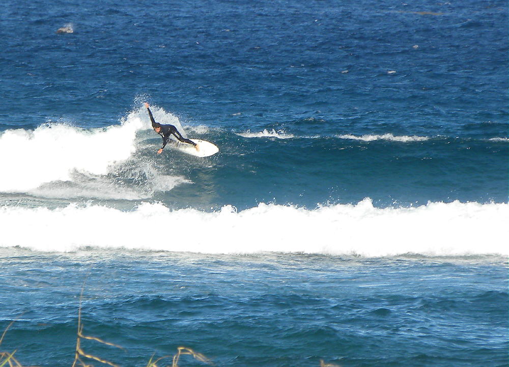 DSCN8817 3.JPG