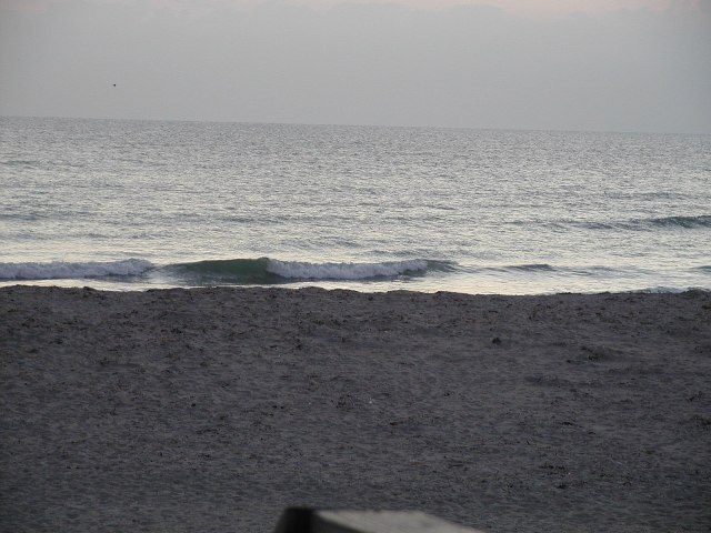 PB110012a.JPG