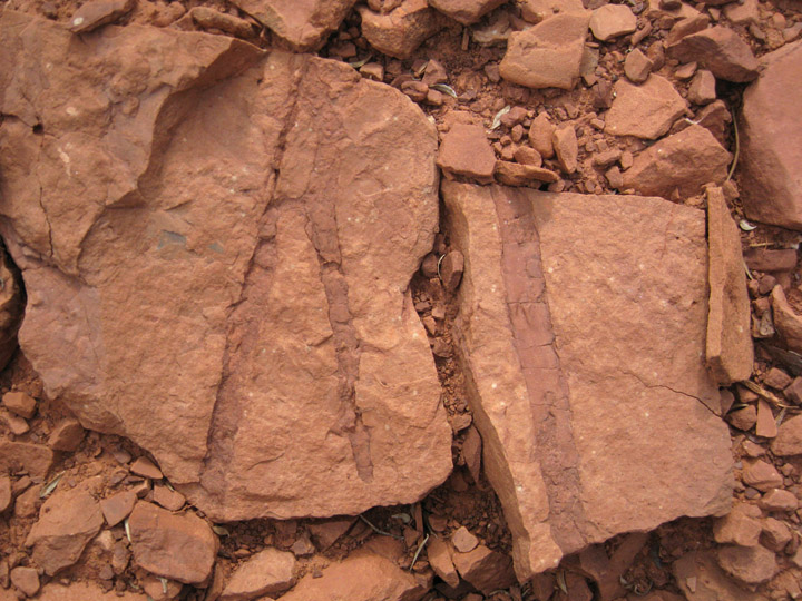 Inclusions in Hermit Shale