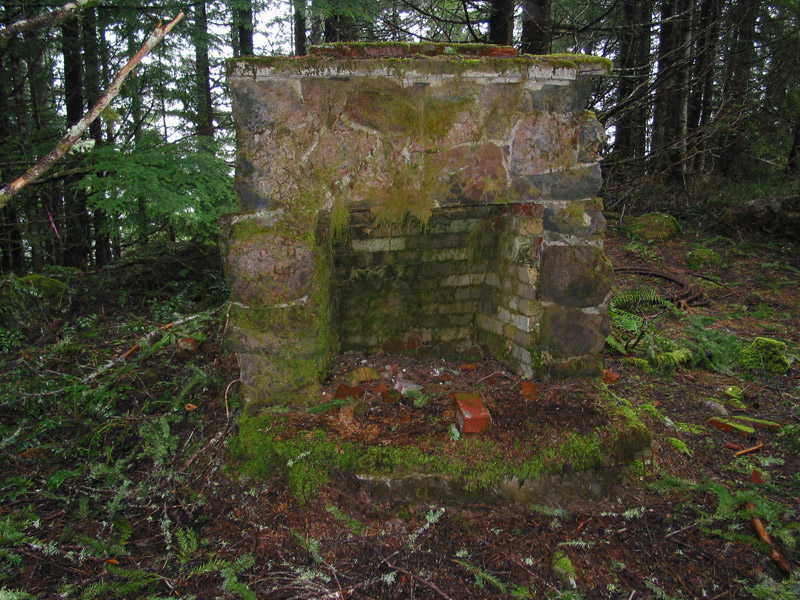 Old Fireplace in the Woods