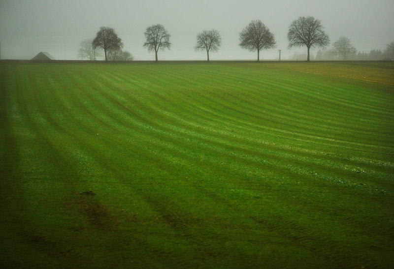The field