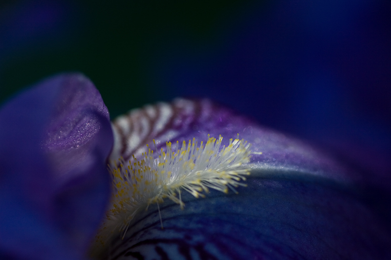Light in the Shadows