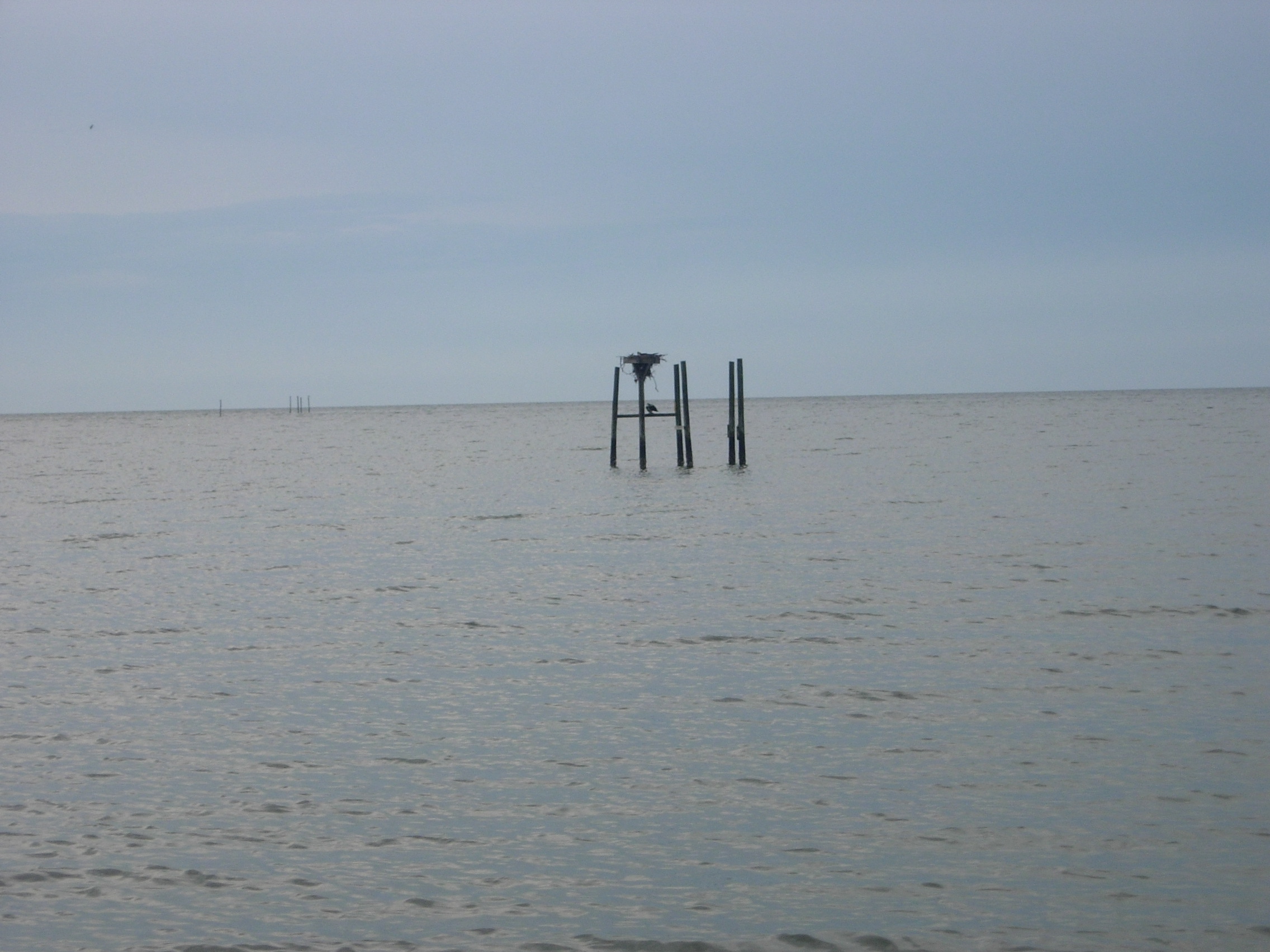 DSCN0055.JPG
