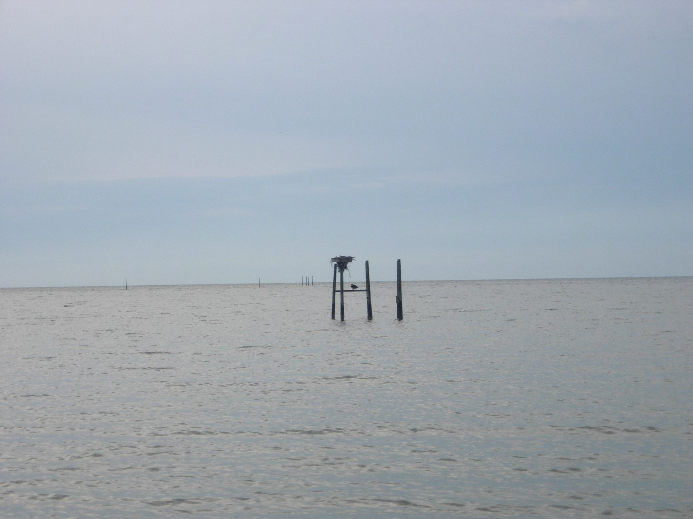 DSCN0056.JPG