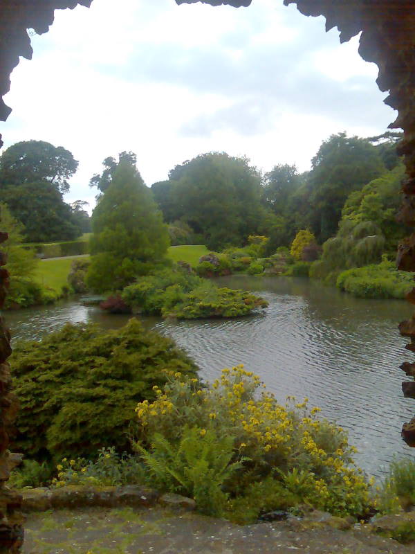Queen Alexanders nest taken with phone(Sandringham)