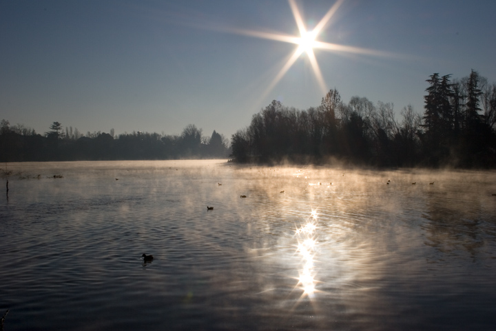 Fiume Sile (Treviso)