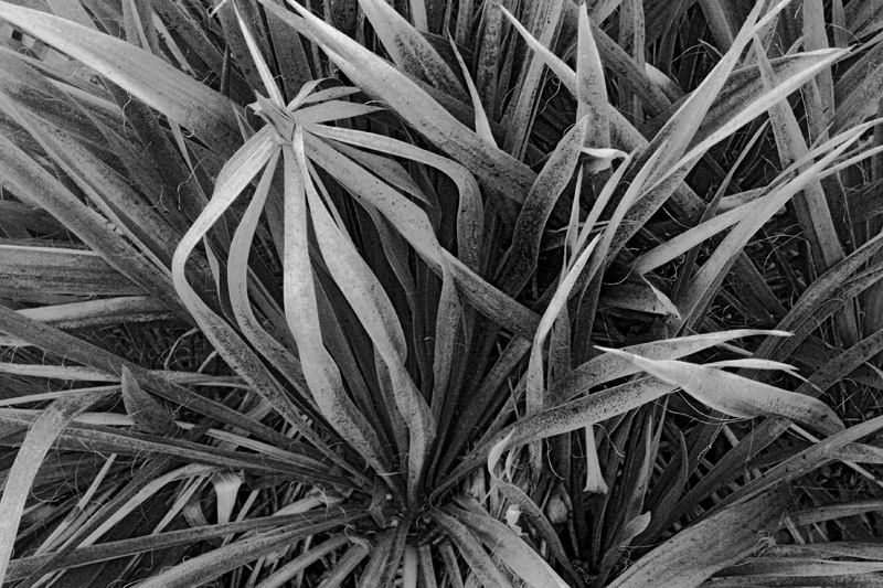 natural intersections