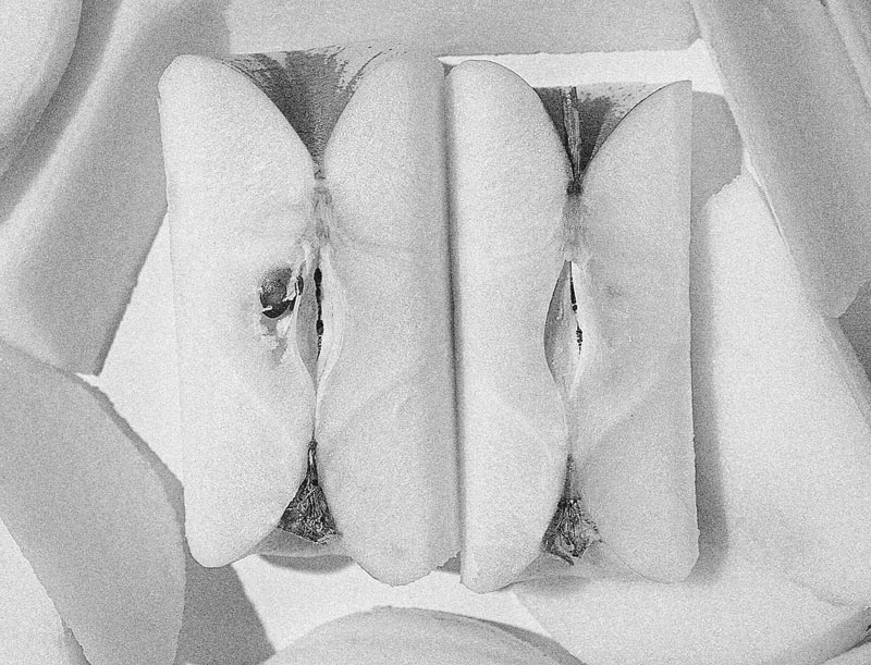 apple, inside with grain