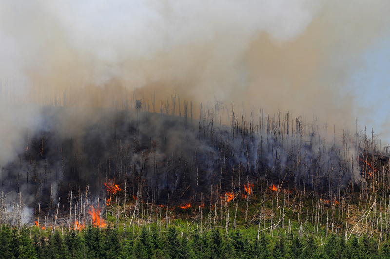Twyn-Bryn-Bychan, well alight