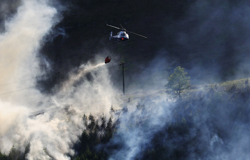 forestfire-1-002-1.jpg