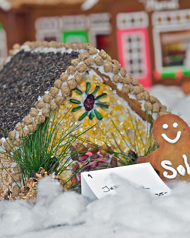 Ginger Bread Village 2009