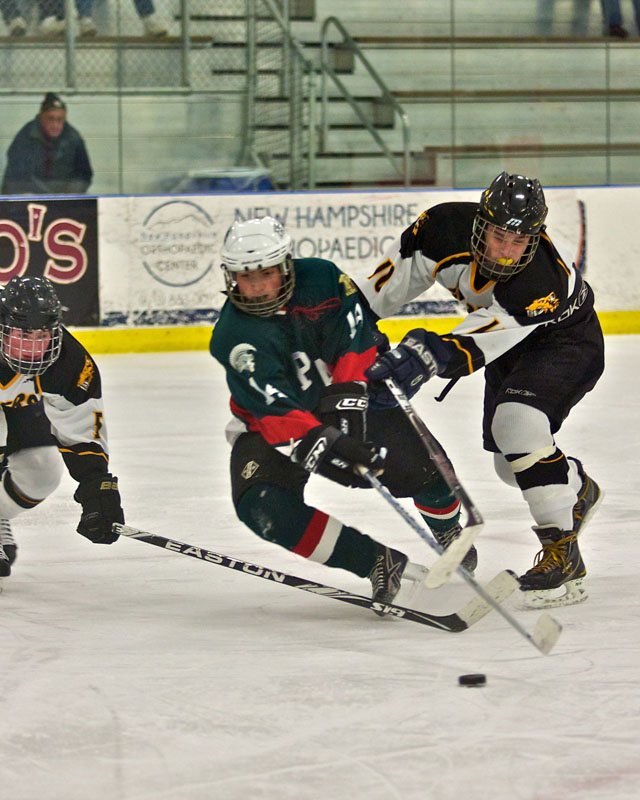 2012 PAC Hockey