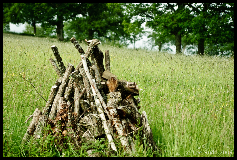 Woodpile