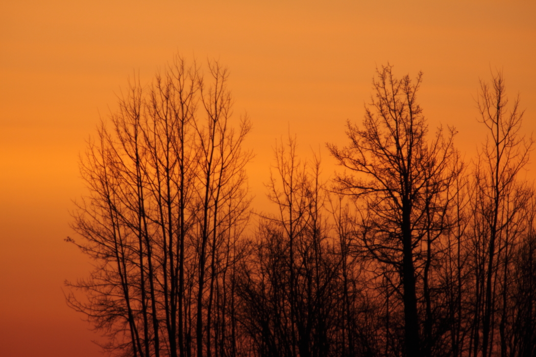 march 20 sunrise