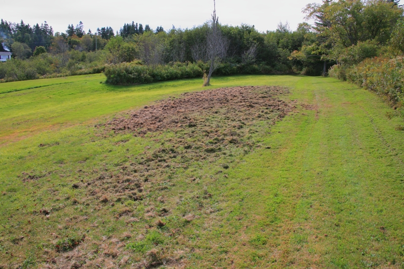 072  PLOUGHED GROUND