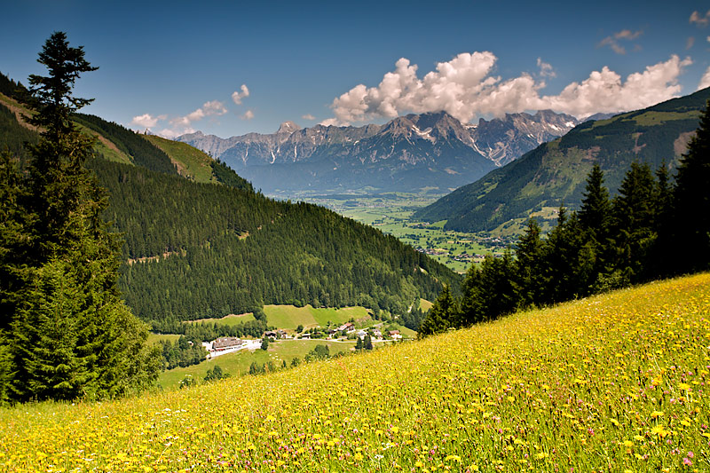 Schmittenhhe Zell am See Trail: Slopes with Wild Flowers