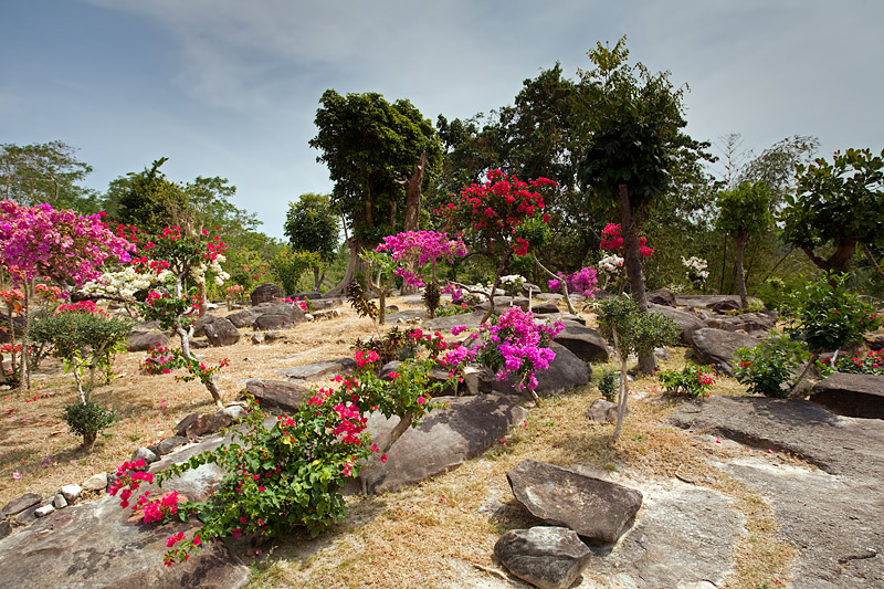 Phi-Phi Don: Viewpoint Garden