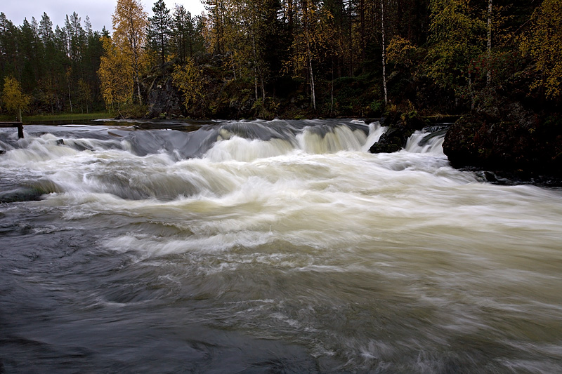 Oulanka National Park: Small Bear Trek: Myllykoski