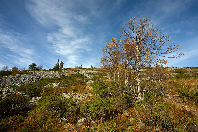  Noitatunturi Trek: Tundra